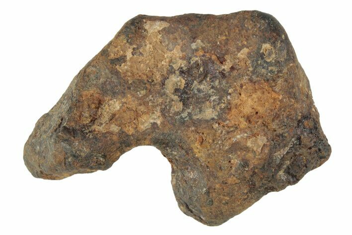 Agoudal Iron Meteorite ( g) - Morocco #245617